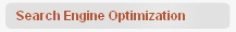 Search Engine Optimization